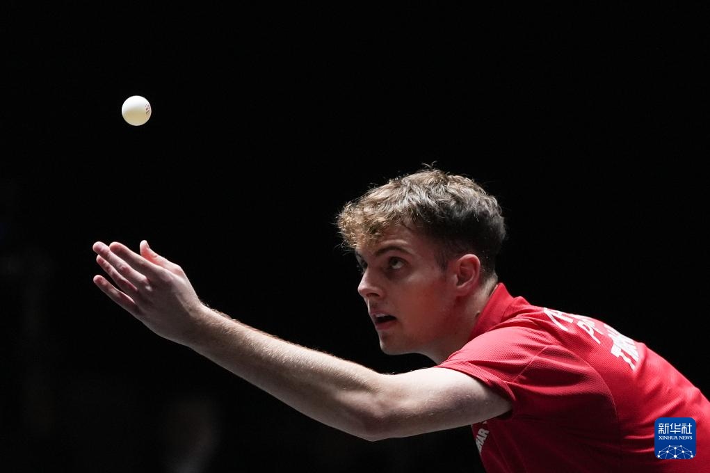 尽管胡梅尔 尽管胡梅尔